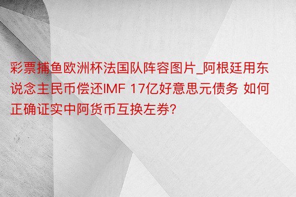 彩票捕鱼欧洲杯法国队阵容图片_阿根廷用东说念主民币偿还IMF 17亿好意思元债务 如何正确证实中阿货币互换左券？