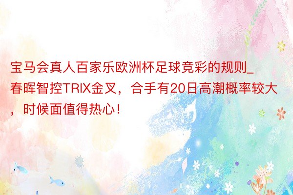 宝马会真人百家乐欧洲杯足球竞彩的规则_春晖智控TRIX金叉，合手有20日高潮概率较大，时候面值得热心！