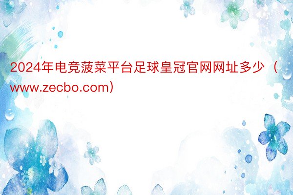 2024年电竞菠菜平台足球皇冠官网网址多少(www.zecbo.com)